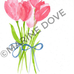 Tulipes llustrations boutique en ligne e commerce dessin illustration marine dove