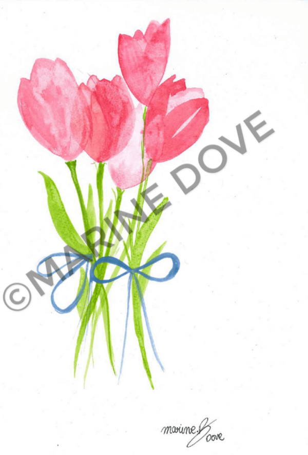 Tulipes llustrations boutique en ligne e commerce dessin illustration marine dove