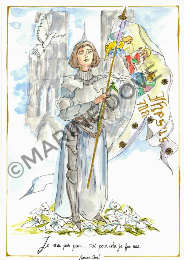 Carte de France llustrations boutique en ligne e commerce dessin illustration marine dove religion