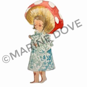 aquarelles enfantines llustrations boutique en ligne e commerce dessin illustration marine dove llustrations A5 affiche Champignon